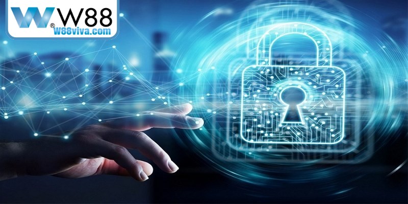 Người dùng phải báo cáo hành vi gian lận, spam hoặc lạm dụng dịch vụ W88