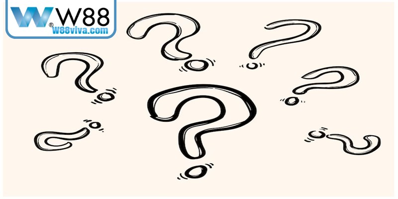 FAQ về giấy phép hoạt động của W88