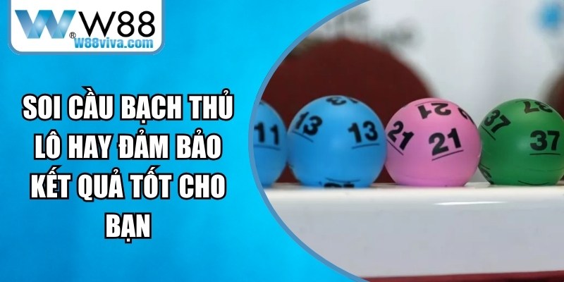 Soi Cầu Bạch Thủ Lô